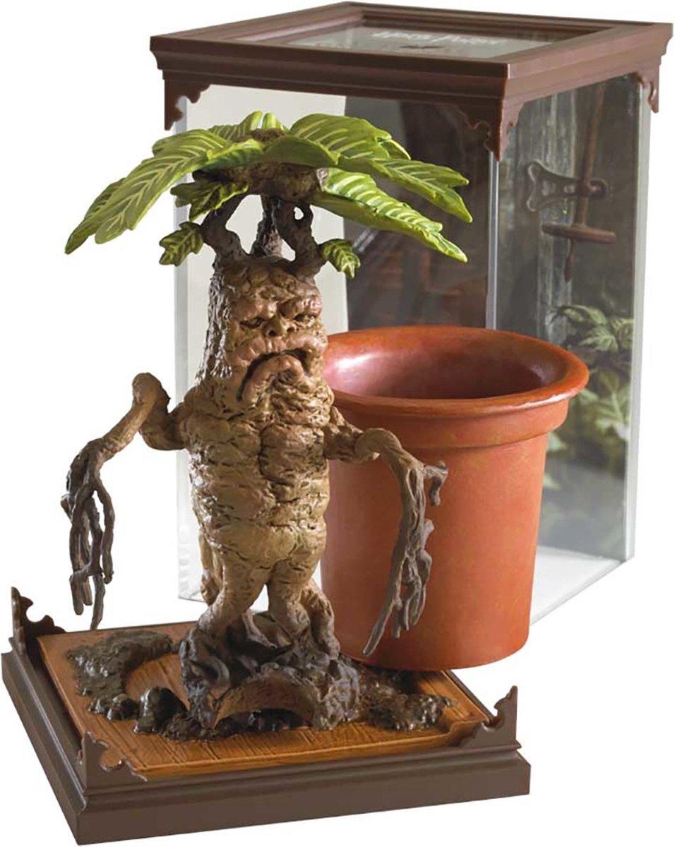 0849421005399
