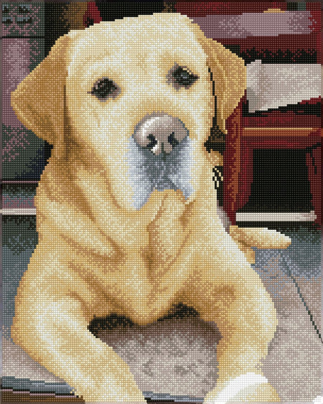 Diamond dotz® Diamantmalerei - Labrador - 48x58cm - Quadrate