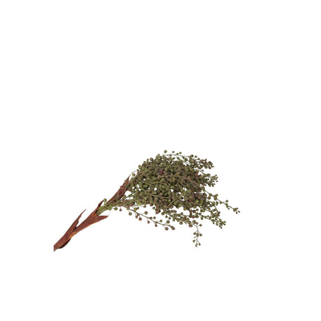 Roberts collection dadelichtak 60cm groen