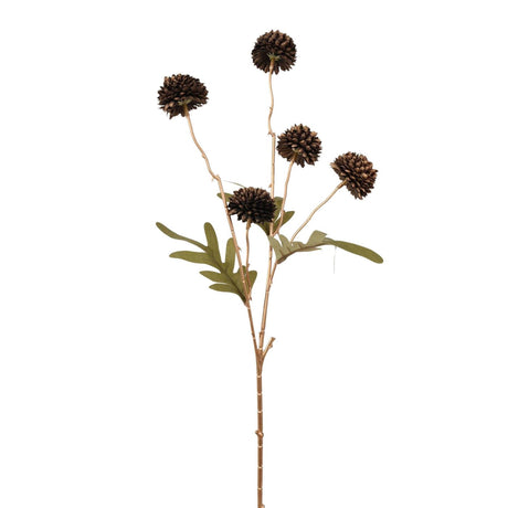 Roberts collection pompom 52cm zwart goud