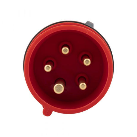 Enzo-CEE-Stecker 16a 5-polig