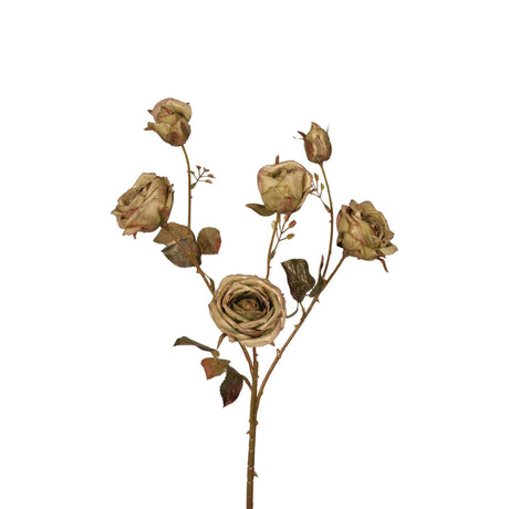 Roberts collection roos 66cm groen met goud