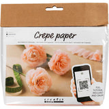 Creativ Company Mini Hobbyset Crepepapier Nelken