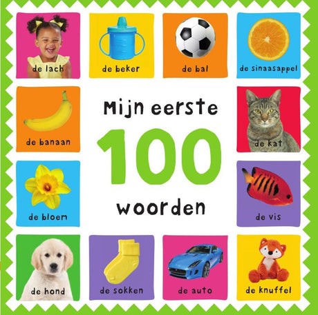 Meine ersten 100 Wörter 3+