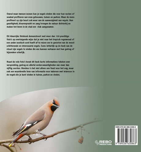 Vogels van tuin, park en stad in europa | 2 stuks
