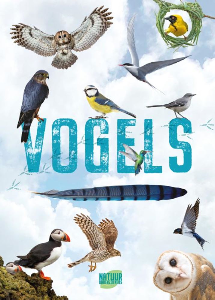 Vögel des Rebo-Verlags – Führer und Naturtagebuch für Kinder