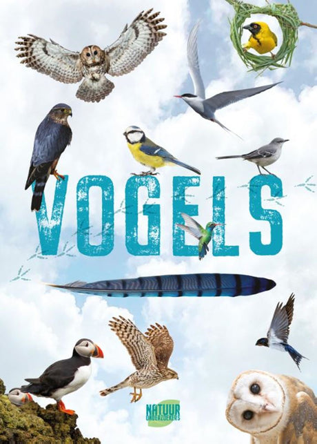 Vögel des Rebo-Verlags – Führer und Naturtagebuch für Kinder