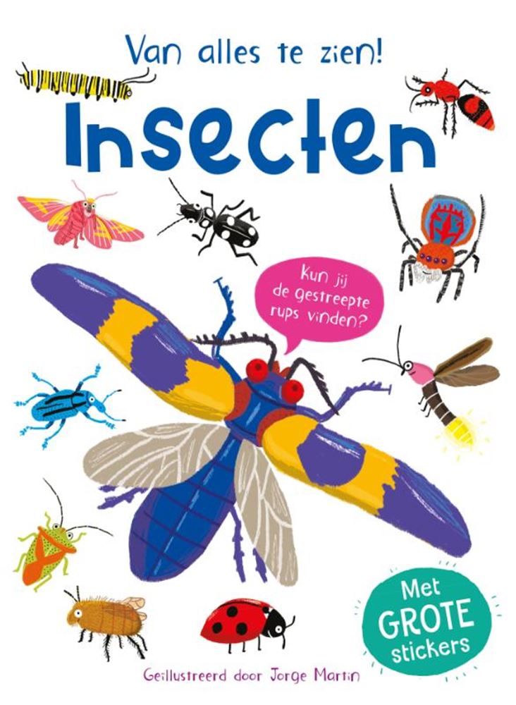 Rebo-Verleger-Insekten – viel zu sehen!