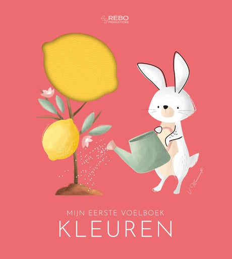 Farben des Rebo-Verlags – erstes taktiles Buch