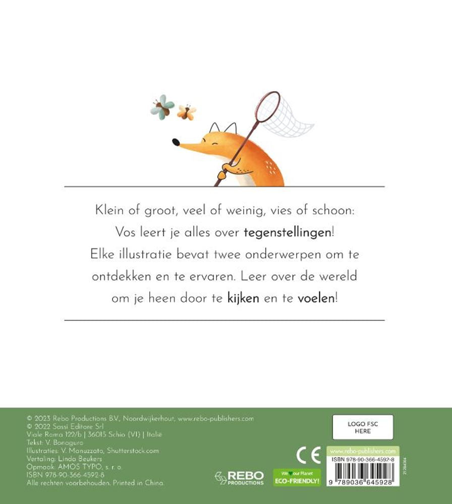 Widersprüche des Rebo-Verlags – erstes taktiles Buch