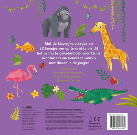 Soundbuch-Dschungelgeräusche des Rebo-Verlags