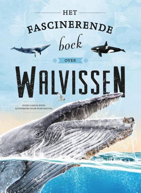 Het fascinerende boek over walvissen 6+ | 2 stuks