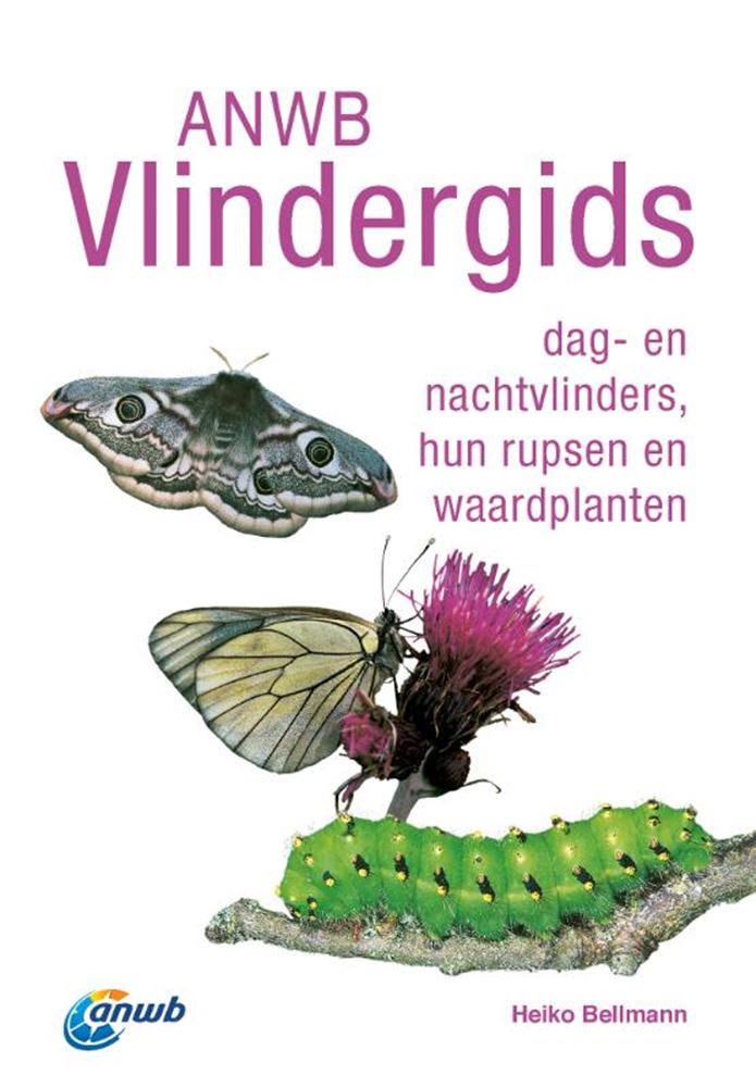 Anwb vlindergids volwassene | 2 stuks