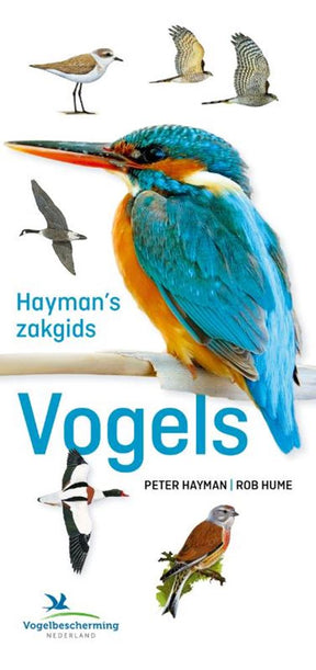 Hayman's zakgids vogels volwassene | 2 stuks