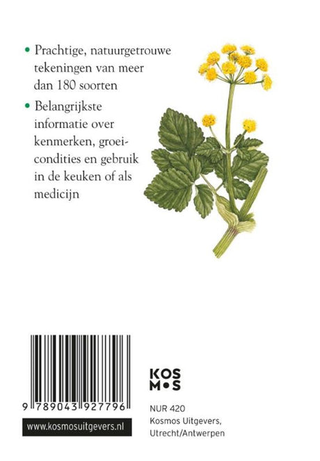 Compactgids kruiden volwassene | 2 stuks