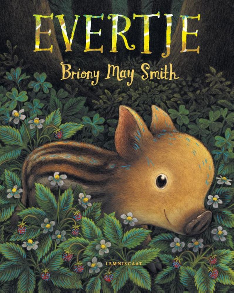 Prentenboek: evertje 4+ | 2 stuks