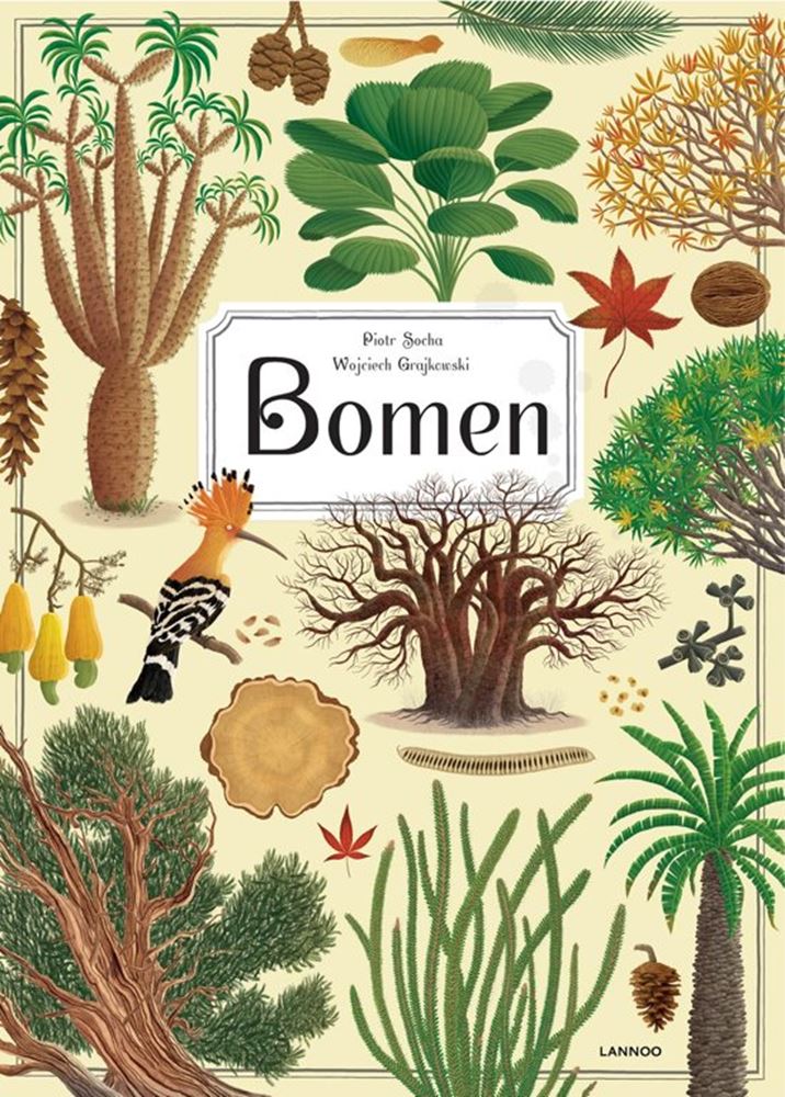 Mondikaarts das große Buch der Bäume