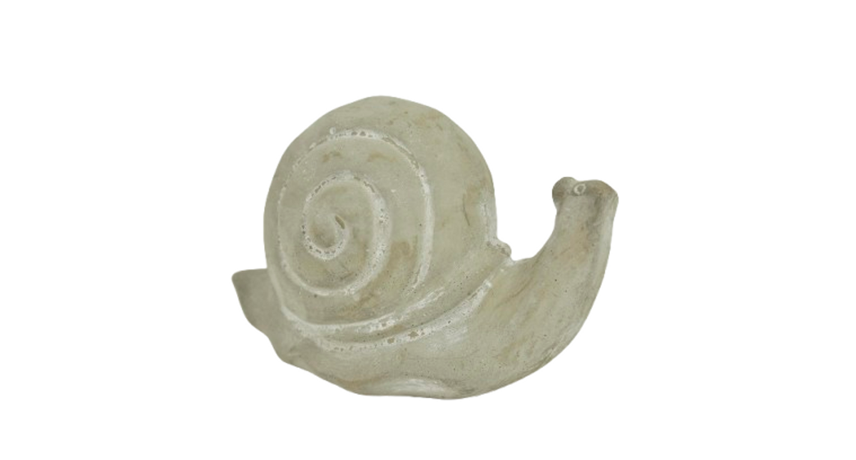Snail cement 13x7x8h grey