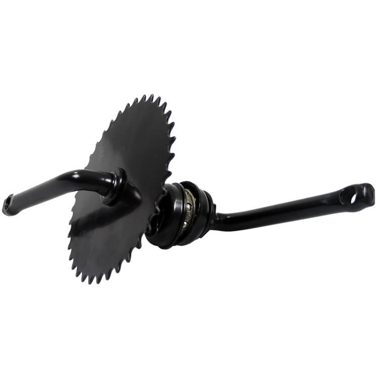 Alpina Cranket Einteilige 20 schwarz