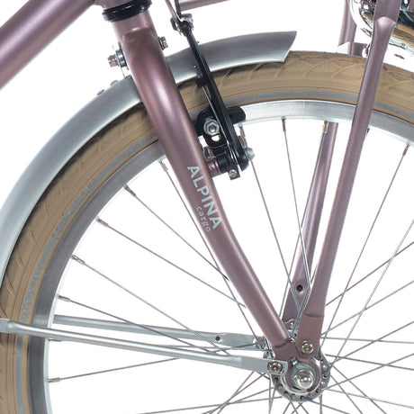 Alpina Fork 22 Frachtholz Rose Matt