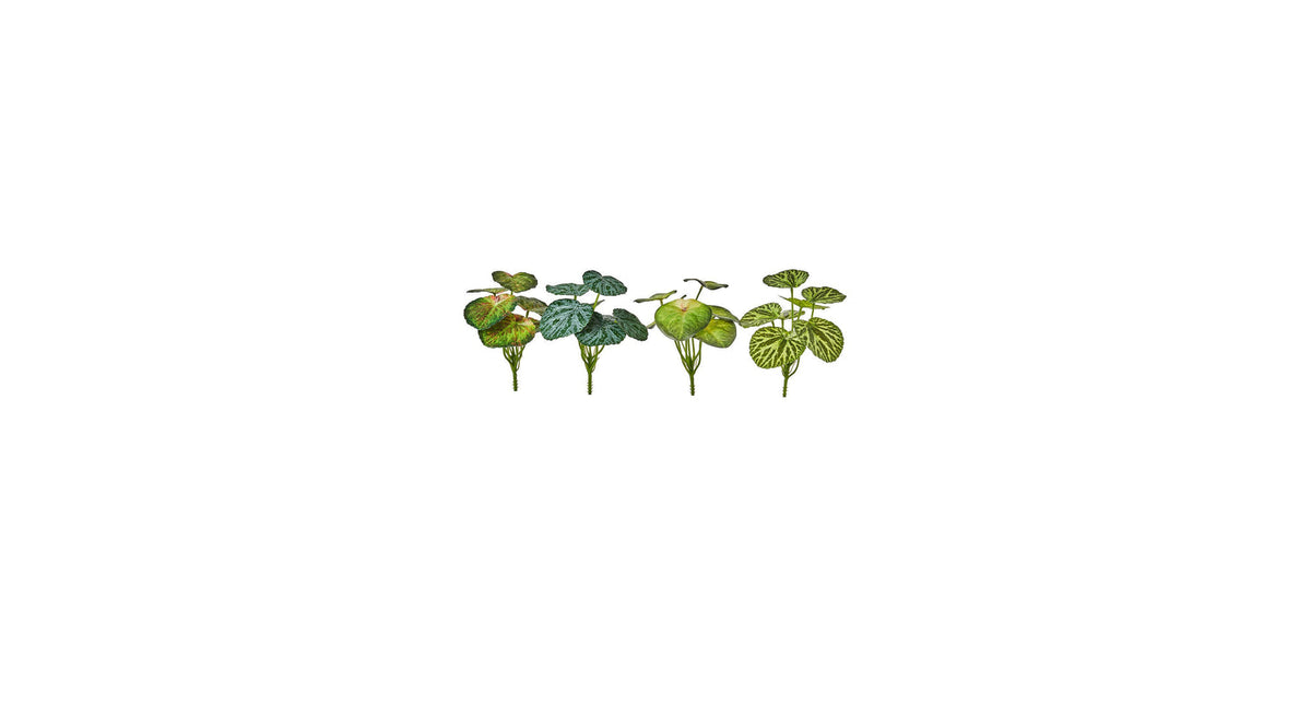 Plant 23cm groen 4 assortie x7 leaves