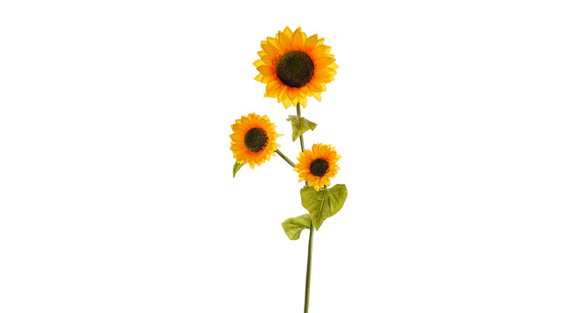 Sunflower stem x 3 h 120 cm ø 25 cm