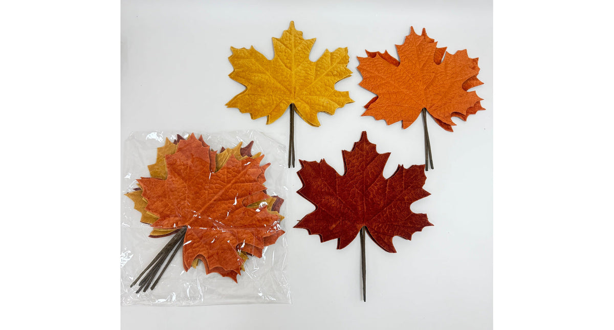 Set 6 leaves l yellow brown