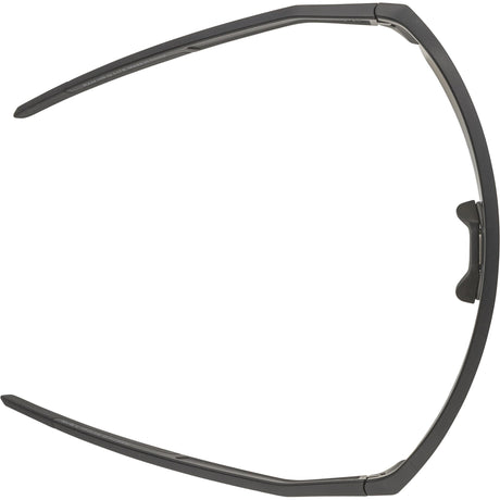 Olympische Sportbekleidung Alpina Sports Sportbrille Ram HR Q-Lite Jade Spiegelglas schwarz
