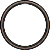 Schwalbe g-ein