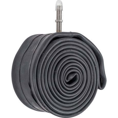 Schwalbe-Röhre #14l-ap 54 70-584 av40