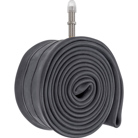 Schwalbe-Röhre #19l-ap 54 65-622 av40