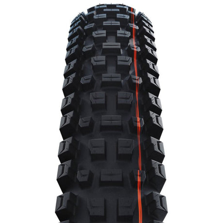 Schwalbe Faltreifen Albert Evo Trail Pro 63-622 TLR schwarz