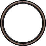 Schwalbe Tire 28-1.70 (45-622) G-One RS Evo ZW Hautfaltungband