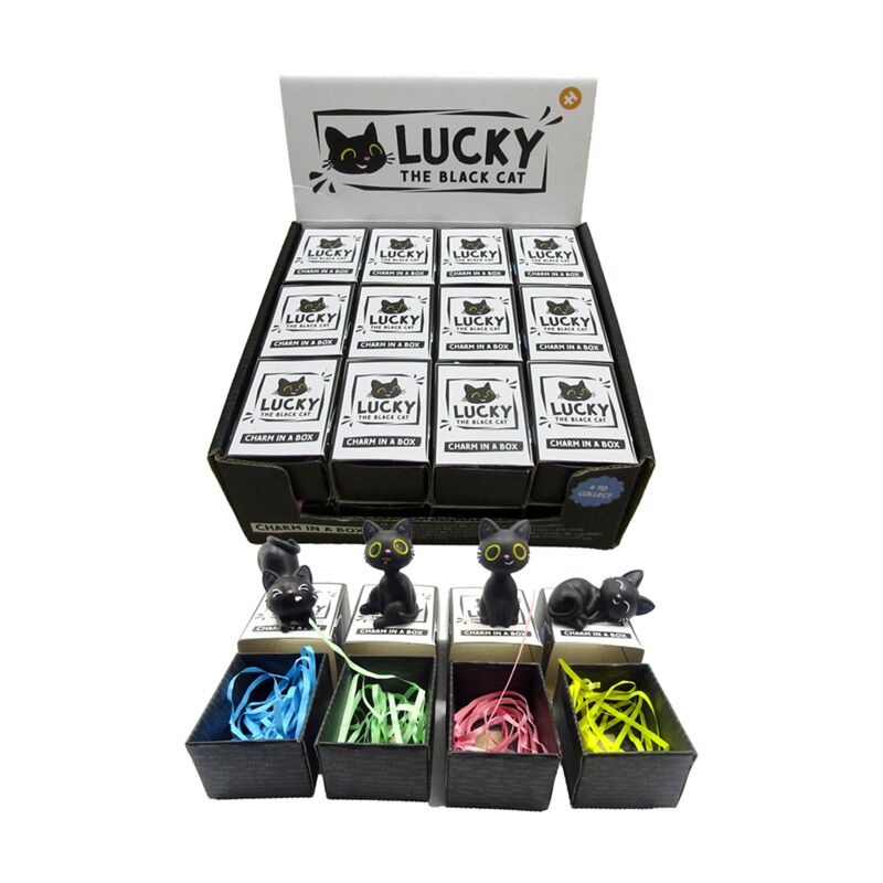 Lucky, der schwarze Katzenanhänger in Box
