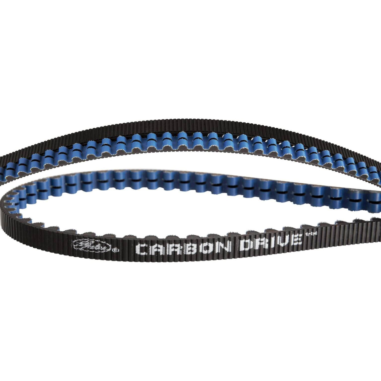 Gates CDX Riem Carbon -Antrieb 111 Zähne Schwarz Blau - 1221 mm, 11 mm Pech, 12 mm breit.