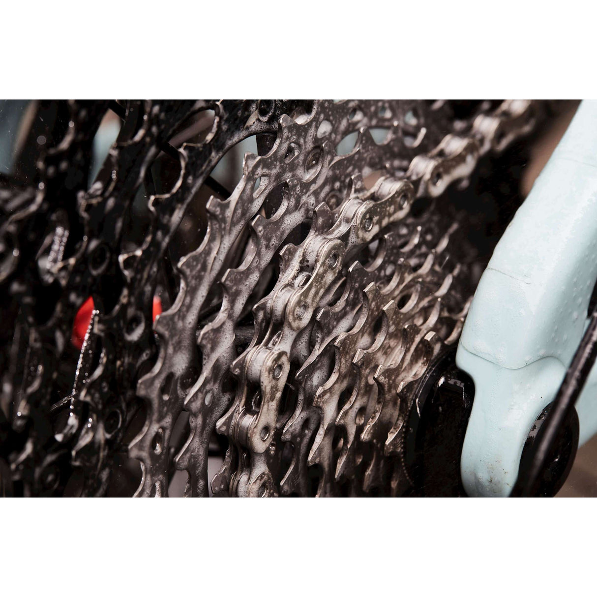 Cyclon Bionet Cleaner Halskette DeGreaser Navulflacon 1L 20061