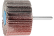 Pferd Lamellenschleifstift 60x40mm A60 (u)