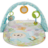 Fisher-Price Butterfly Dreams Speelgym mit Musik