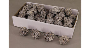 Spidergum vrucht op steker 10cm white wash 55st