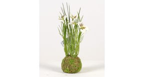 Viola on mossball h24cm white