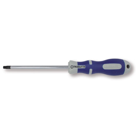 Bernese Schraubendrehersicherheit Torx Topline TX 20 x 100 mm