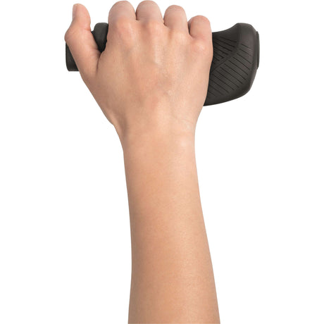Ergon behandelt GT1-S