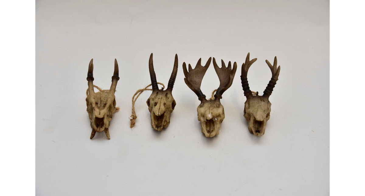 Skull hang poly 4 assorti 10 cm bruin
