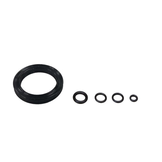 Jagwire Elite Dot Bleed Kit – Ersatz-O-Ringe (5 Stück)