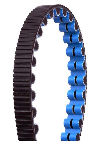 Gates CDX Riem 115 TODS Black Blue (1265 mm)