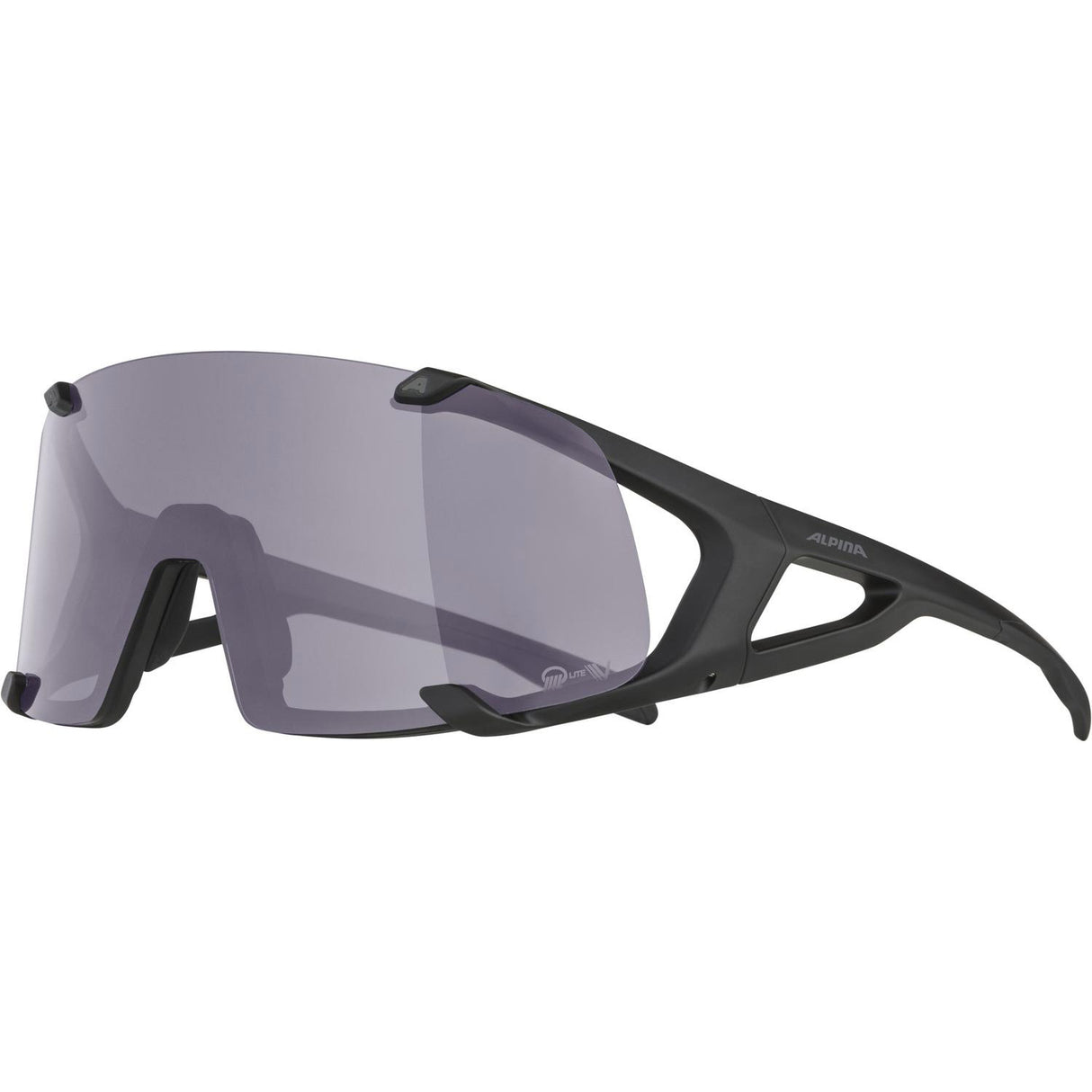 Alpina Sports Sportbrille Hawkeye Q-Lite V Schwarz