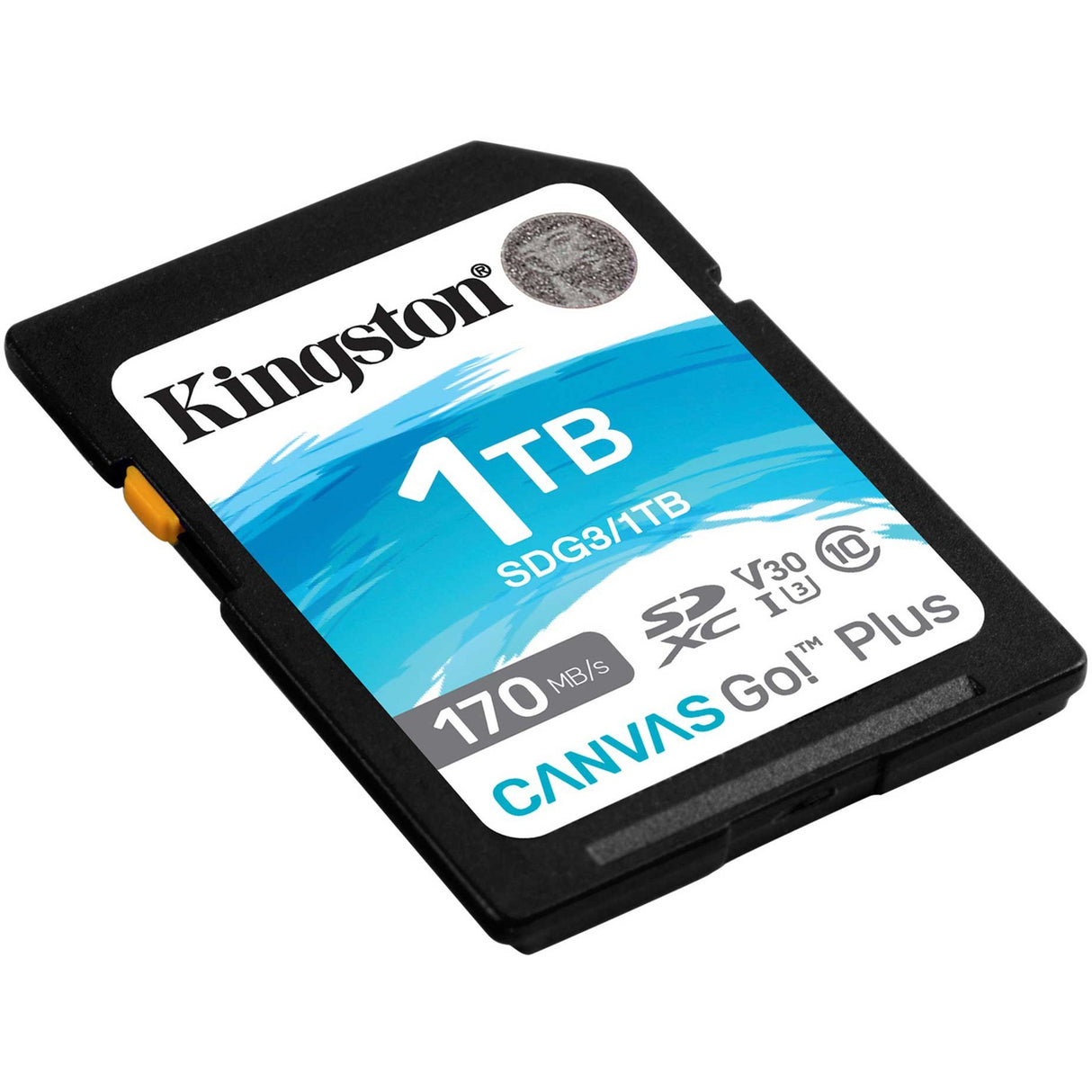 Kingston Canvas gehen! Plus SDXC 1 TB