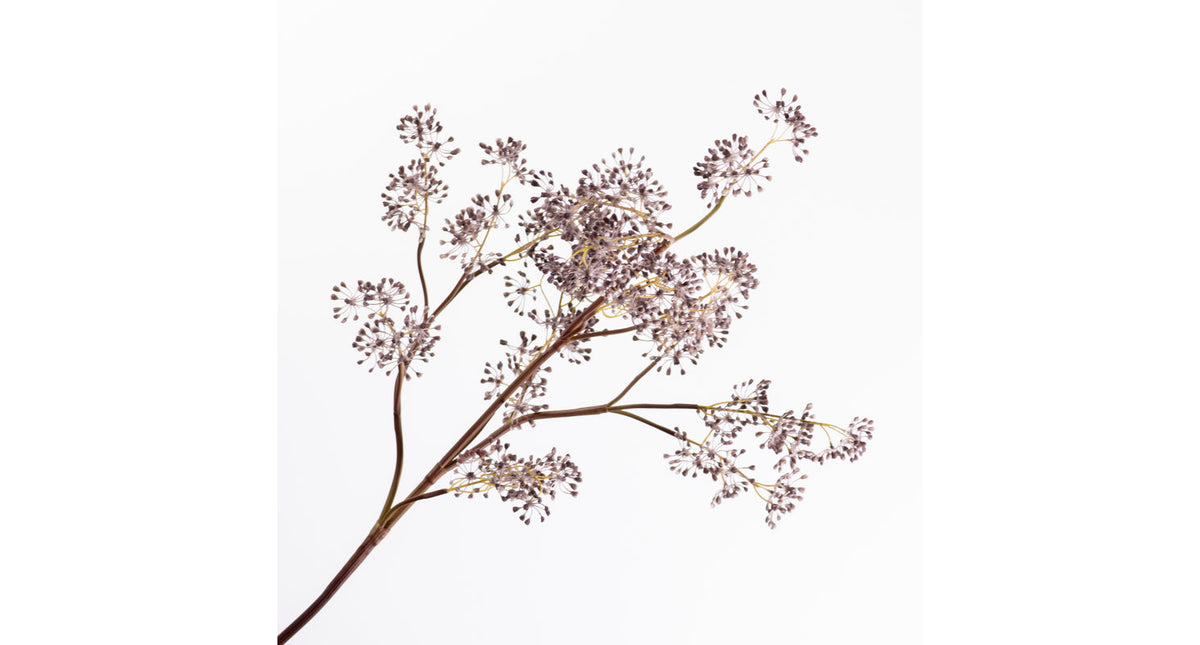 Sedum spray d.purple 114cm