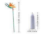 Sluban strelitzia reginae aiton (m38-b1101-01)