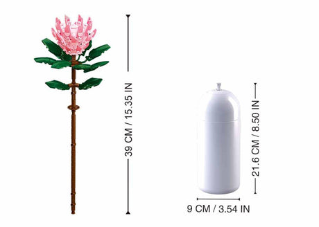 Sluban-Riesenprotea (m38-b1101-03)